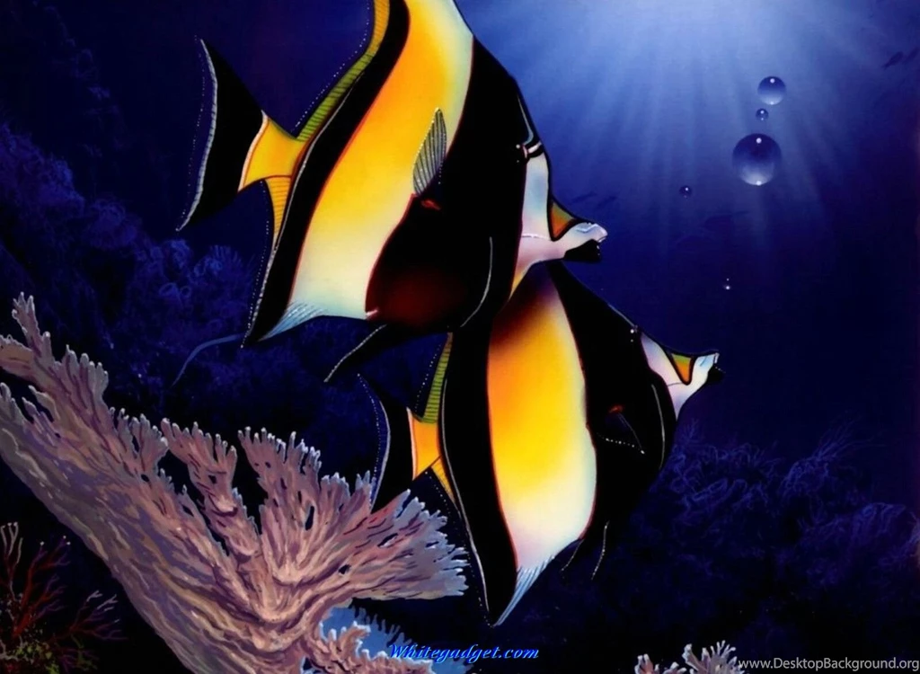 Fish Desktop Wallpapers Wallpapers Cave