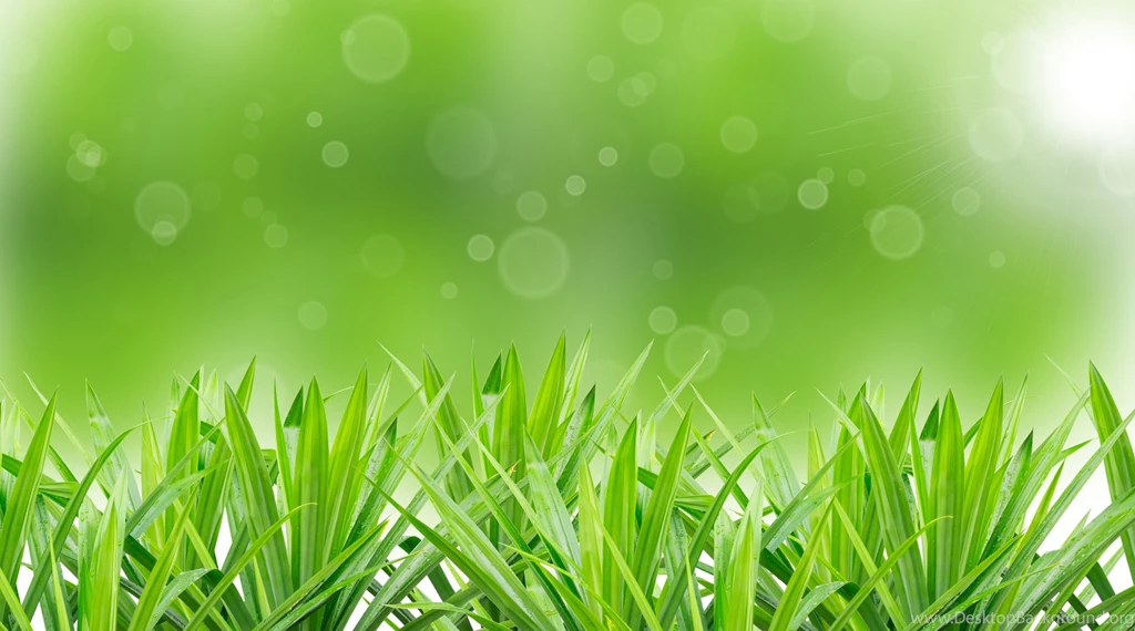 Free Spring Desktop Backgrounds cEeU 46501 Hd Pictures