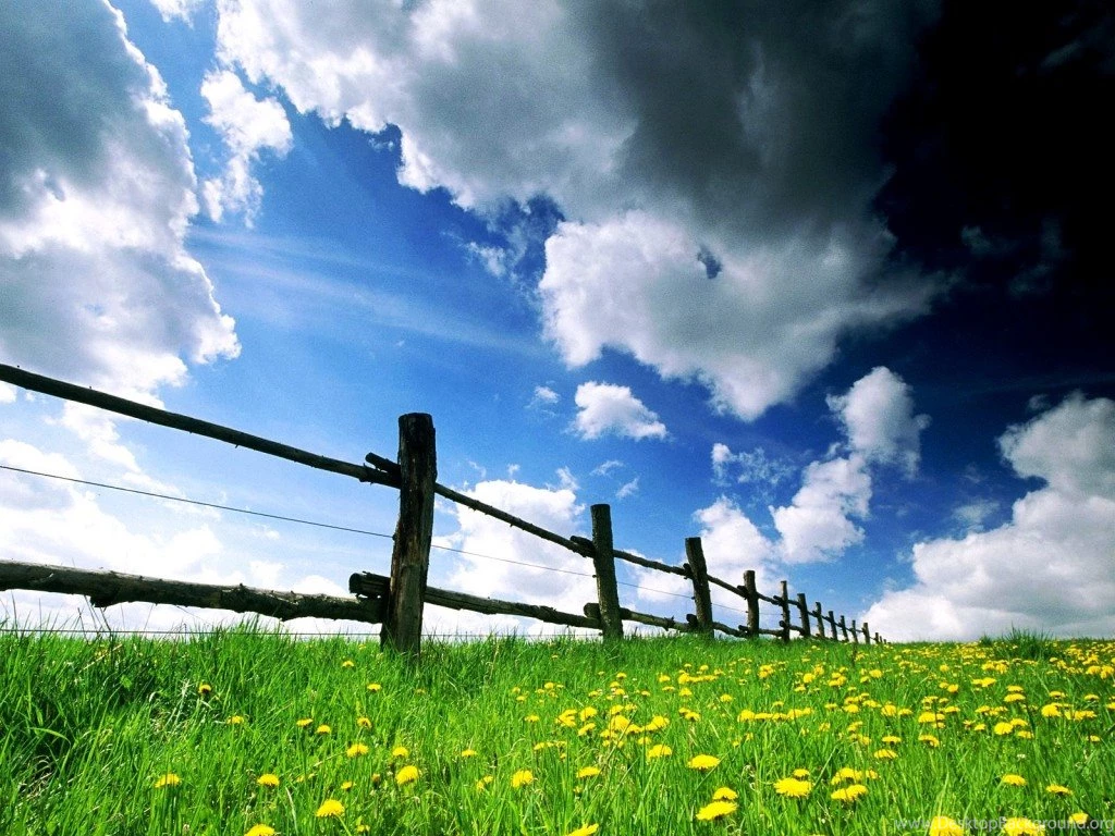 Free Desktop Backgrounds for Spring in Garden 1024x768 A House ...
