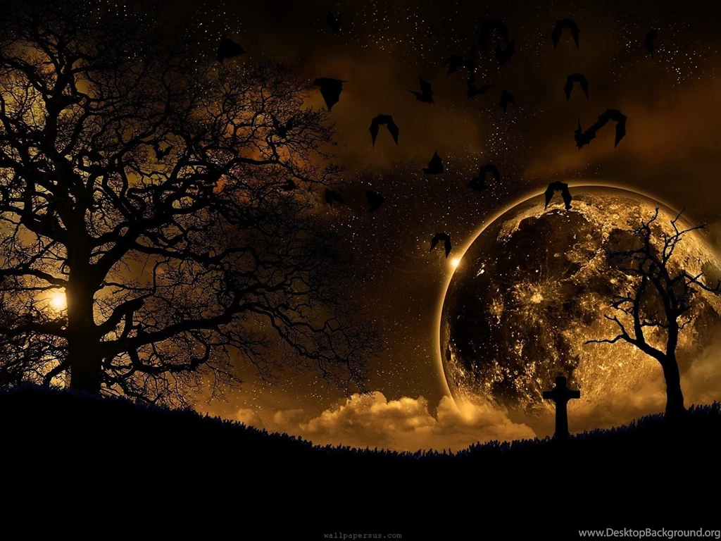 Beautiful Wallpapers: Bats Wallpapers