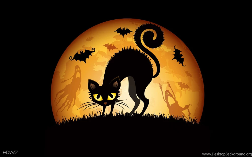 Halloween Cat Bat Wallpapers