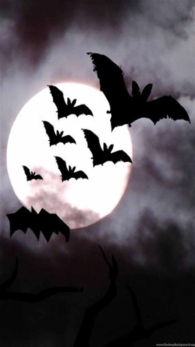 Bat iPhone Wallpapers And Backgrounds, HD Wallpapers