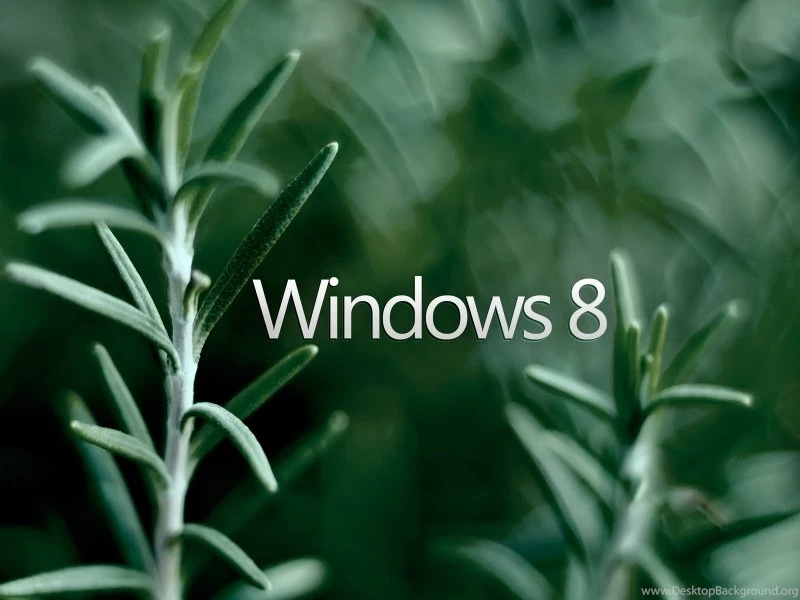 Windows 8 Wallpapers Rosemary Clarity Wallpapers X