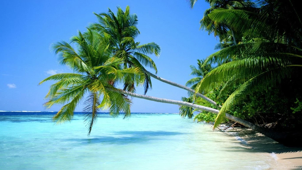 Free Desktop Wallpapers Beach Wallpapers Cave