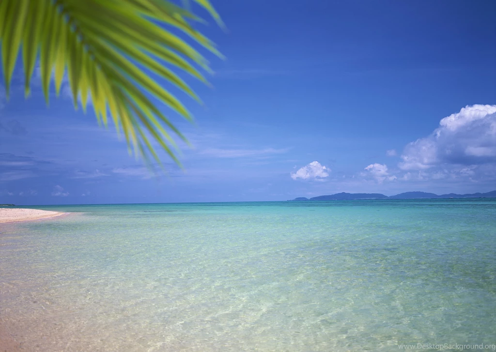 Beach Wallpapers Mural / Cutekid / Stillgalaxy