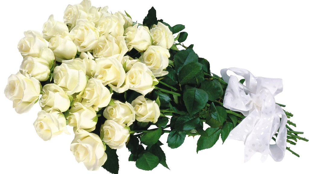 99 White Roses Wallpapers, Rose Flower Images, Rose Pictures And ...