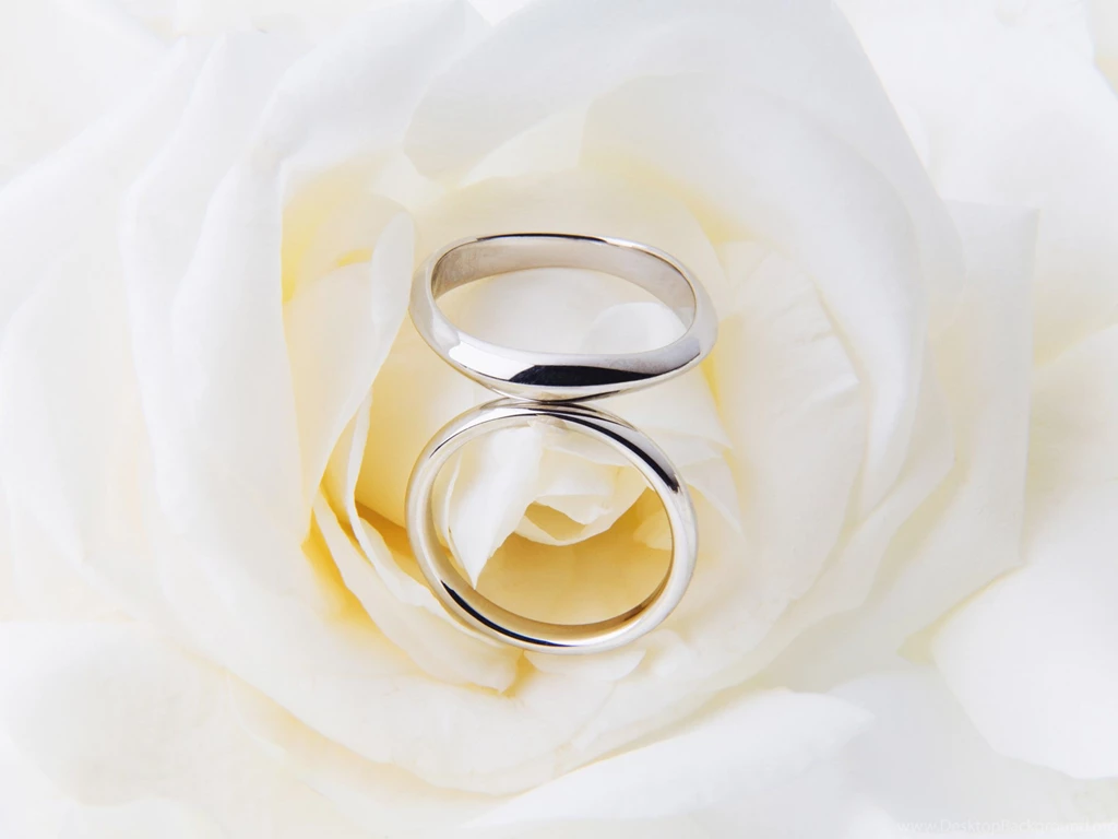 White_Rose_Wedding_Background.jpg?m=1436084324
