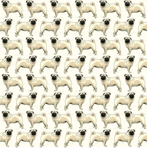 Pugs Pugs Pugs Pug Wallpapers PetPictures