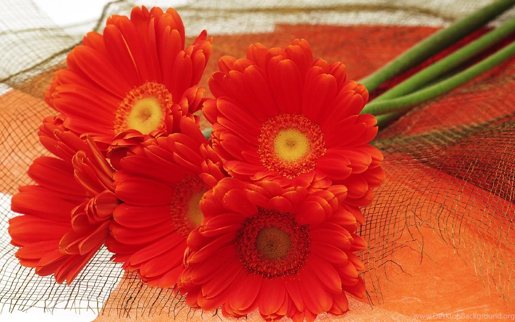 Harmony Ikebana Flowers Wallpapers 1440x900 1440x900 NO.19 Desktop ...