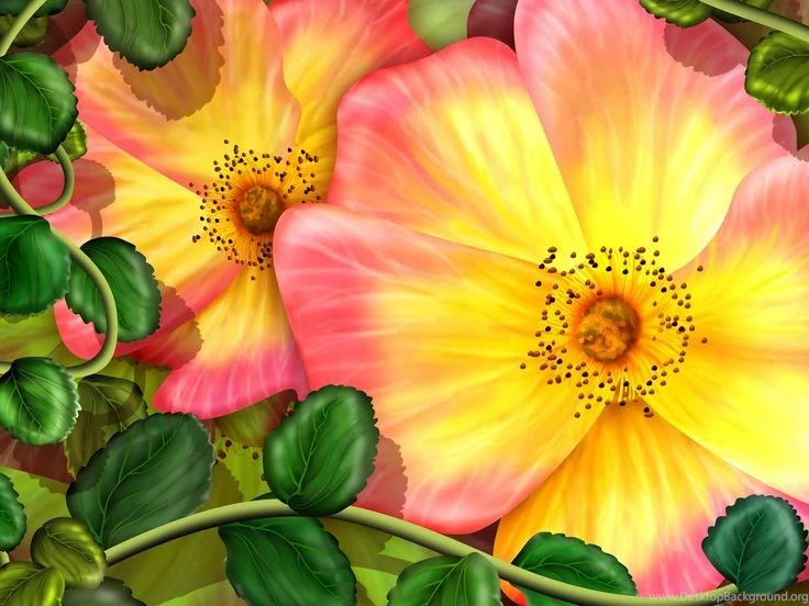 Exotic Flowers