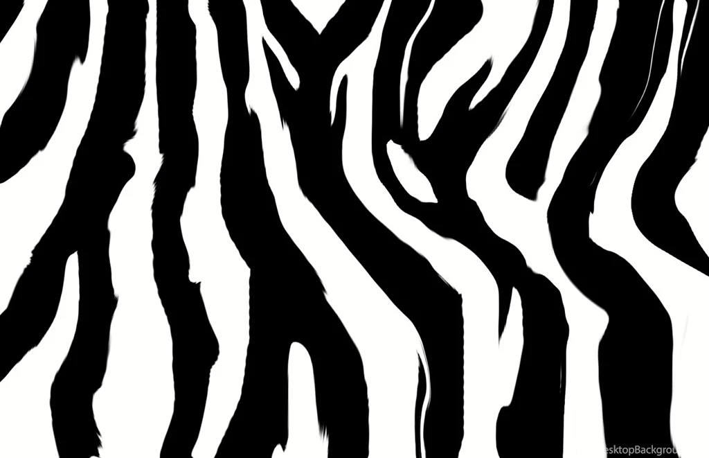 Zebra Backgrounds Wallpapers Zone