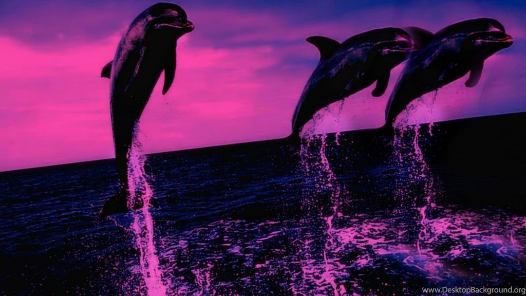 Dolphins: Dolphin Splashing Water Enjoying Nimals Wallpapers Wide ...