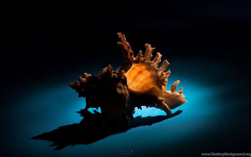 Images Of Latest Wallpapers Wallpapers Cave