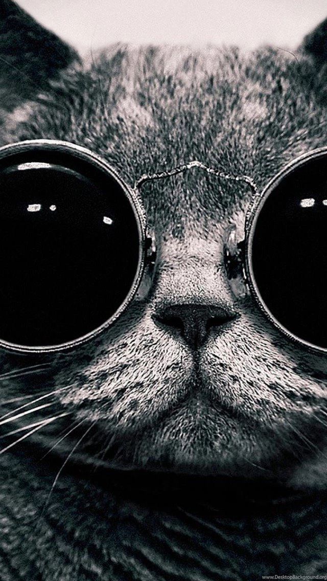 Cool Wallpapers iPhone 5   Wallpapers Zone