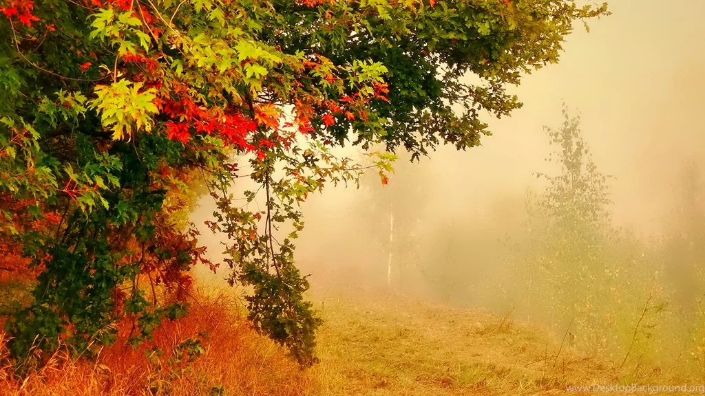 Nature HD Wallpapers And Images