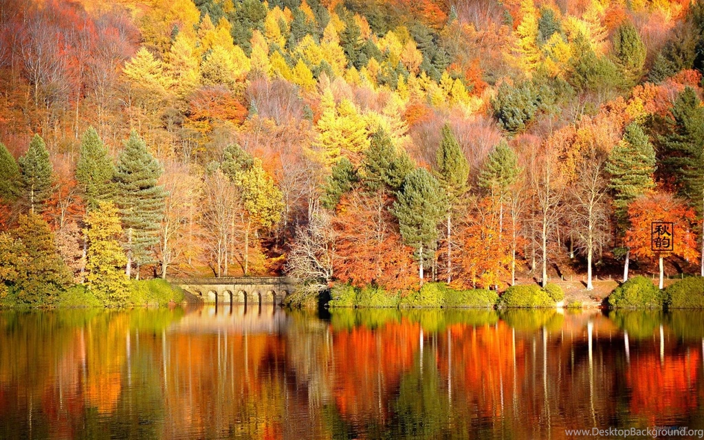 Autumn Wallpapers Hd Collection (33+)