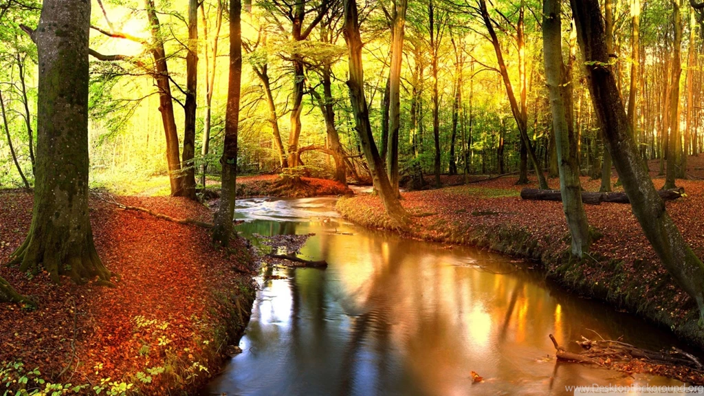 Impressive Autumn Landscape HD Desktop Wallpapers : High Definition ...