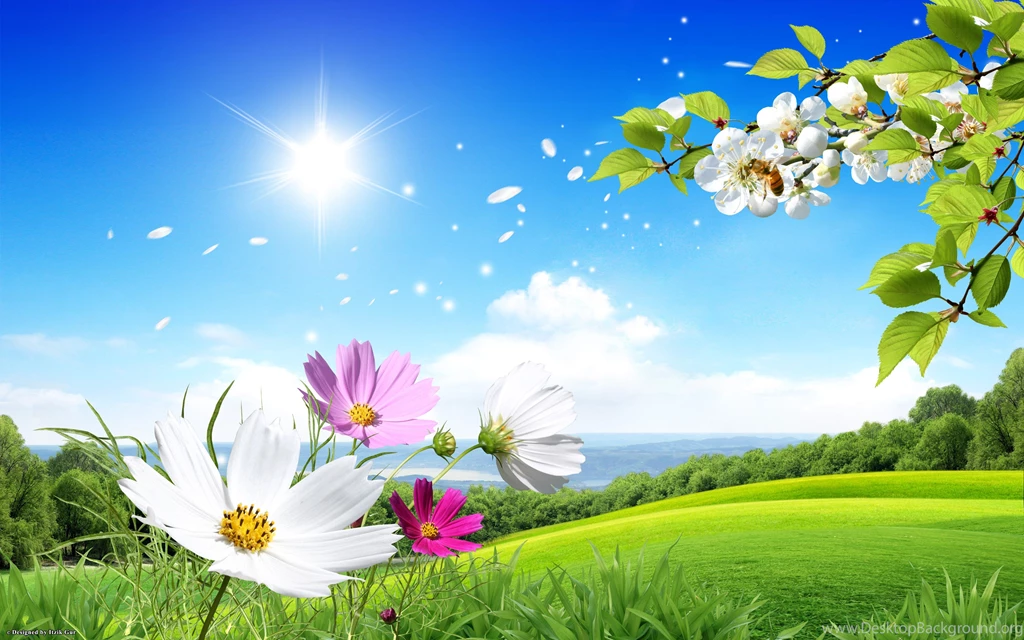 Free Spring Nature Wallpapers
