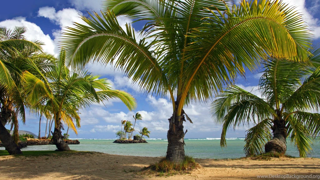 Free Nature Beach Cool Wallpaper Backgrounds For Phone ...