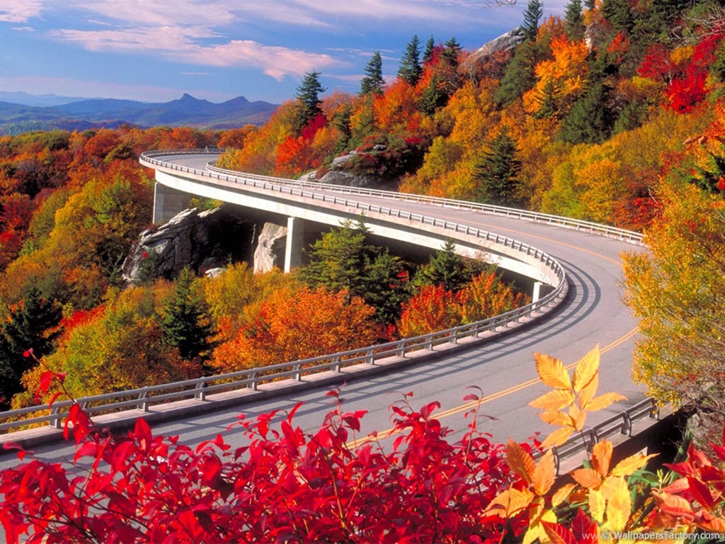 HD Best Desktop Wallpapers: Autumn Wallpapers 2