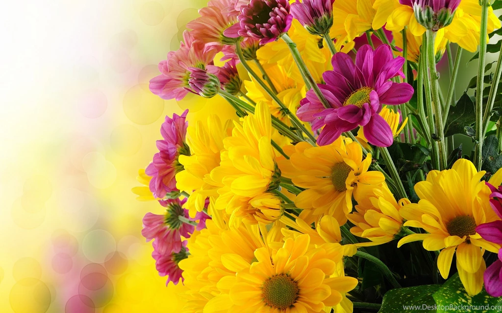 BUNCH PINK YELLOW FLOWERS Online Wallpapers HD