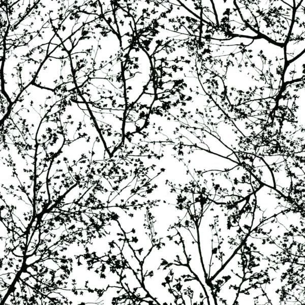 Vinyl Wallpapers / Modern / Nature Pattern / Green GRAPHICS ALIVE ...