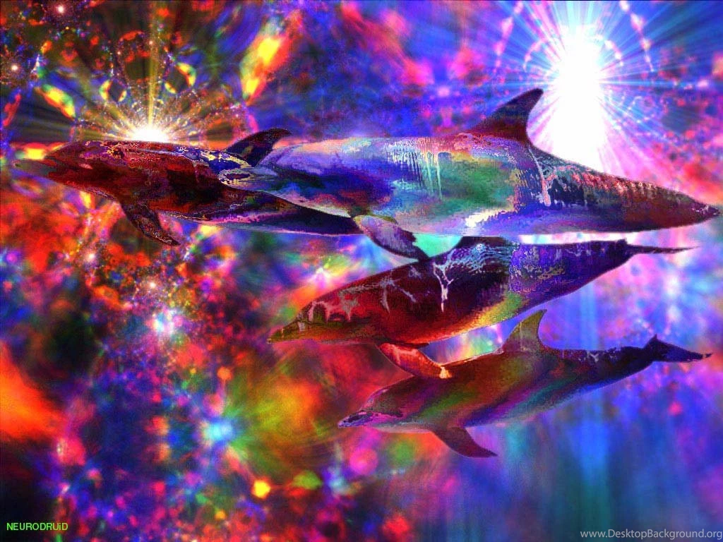 Acid Trip Backgrounds Wallpapers Cave