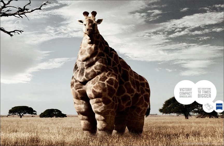 Funny Animals With Funny Sayings 9 Cool Hd Wallpapers ...