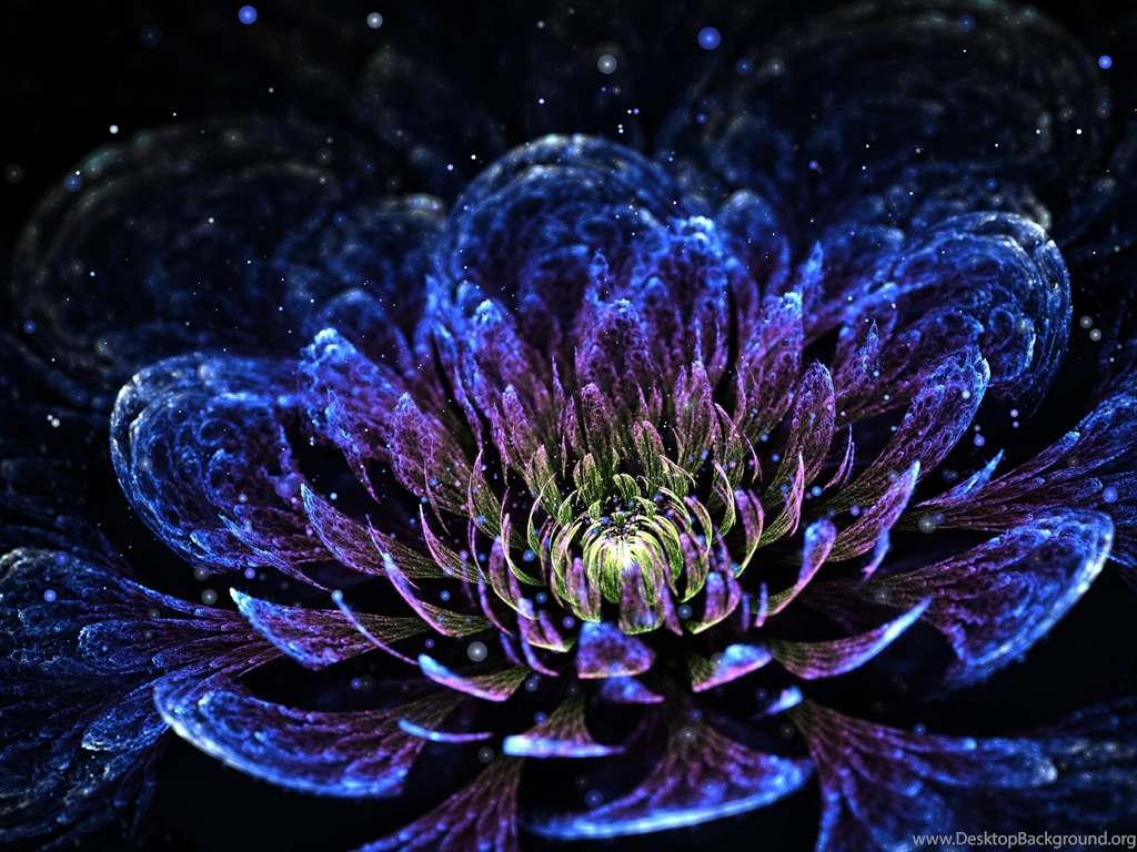 Fractal Art, Pattern, Flower, Art, Background, Clored, Hd, Wallpapers