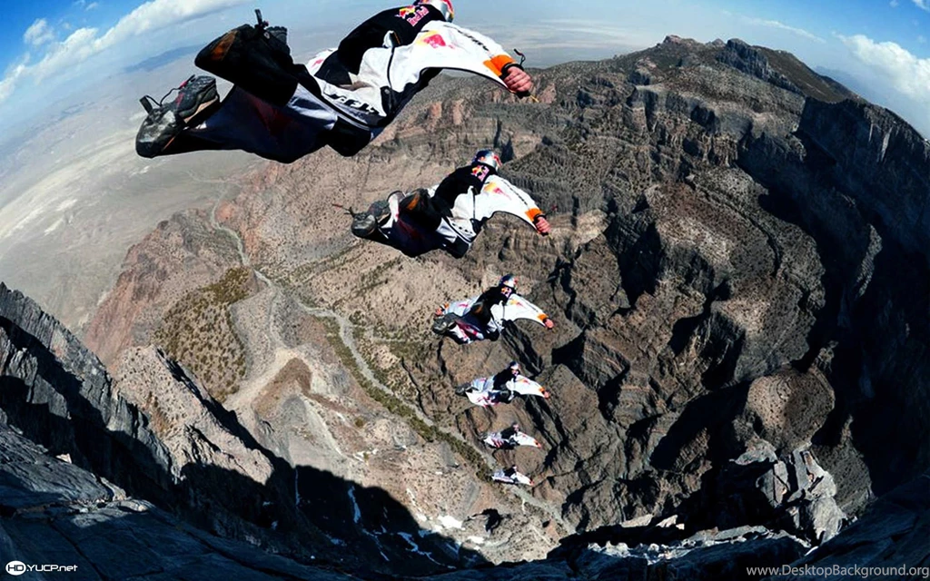 Jumping Dolphin Wallpapers