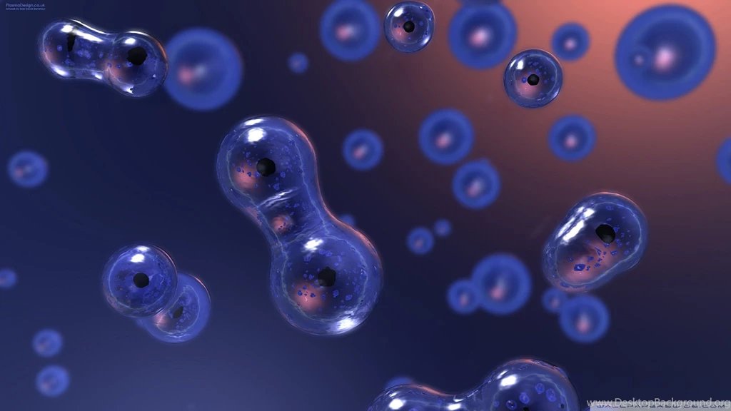 Cell Division HD Desktop Wallpapers : High Definition : Fullscreen ...