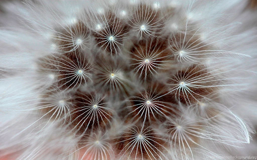 Wallpapers Modern Abstract Modernart 2560x1600