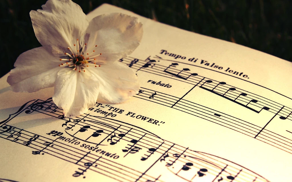 Flower Wallpaper,artistic HD Wallpaper,photography HD Wallpapers ...