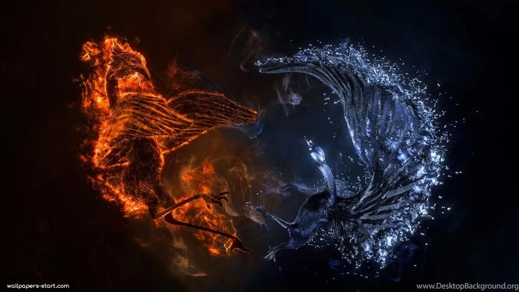 Wallpapers Water And Fire Bird Abstract 1366x768