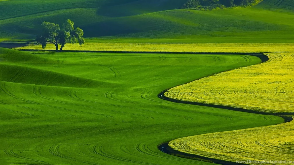 HD Nature Desktop Background Images Wallpapers For Laptop PC