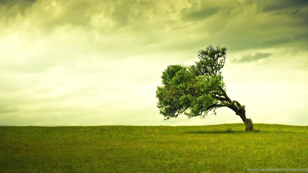 1920×1080 Wallpapers Dekstop H48 Pockted.com
