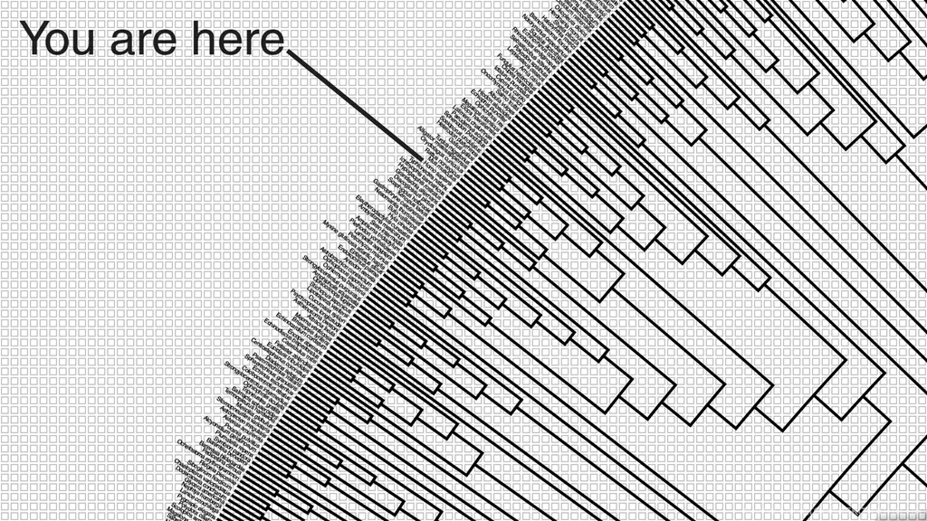 Typography: Species Evolution Wallpapers Wide For High Resolution ...