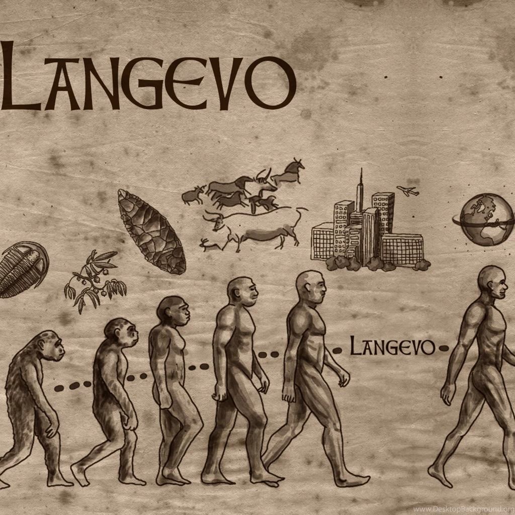 Langevo Language Evolution iPad 3,4 & Air Wallpapers
