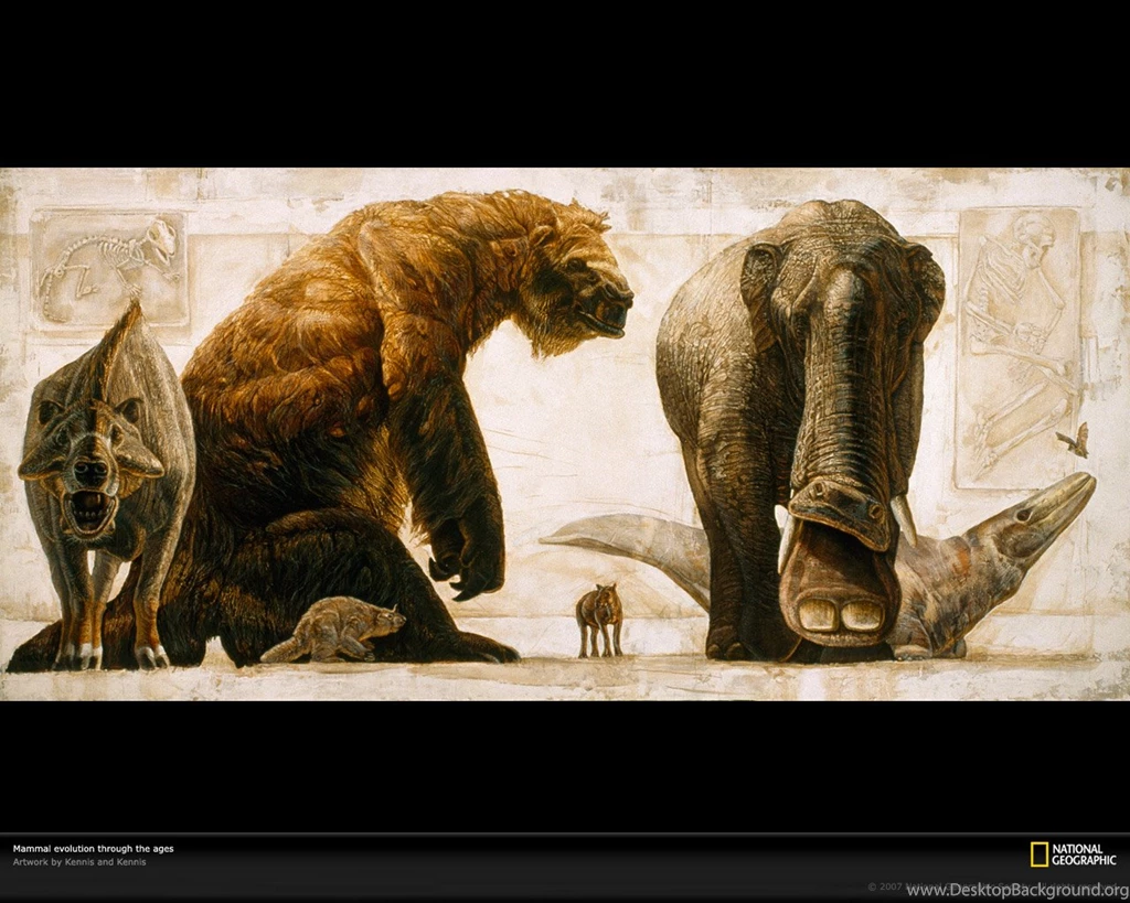 Mammal Evolution Picture, Prehistoric Life Wallpaper, Download ...