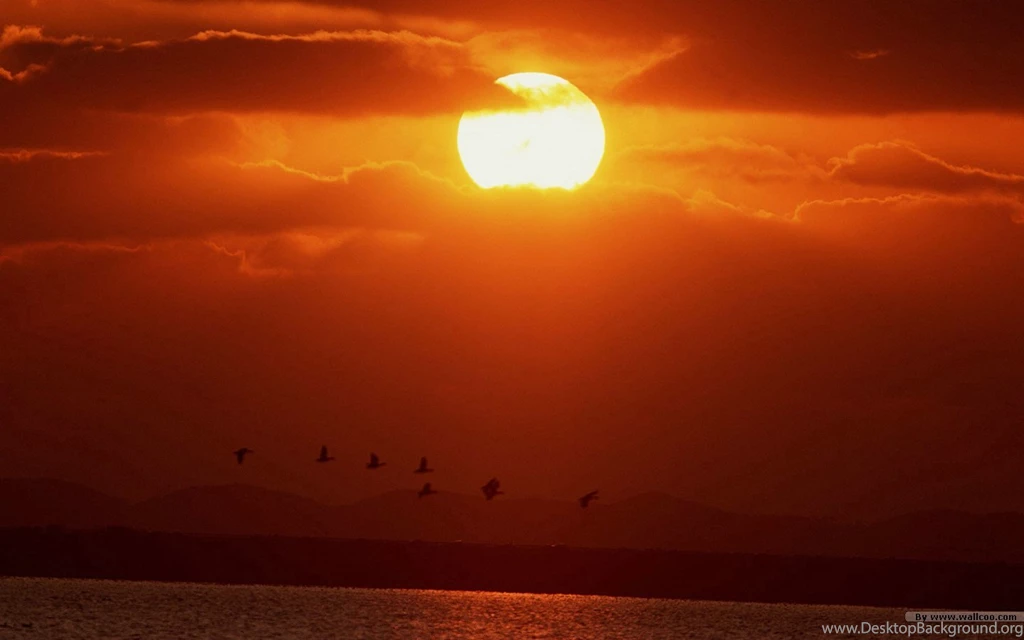 Sunset Sky Sunset Landscape, Sunset Wallpapers (Vol.3) 1440x900 NO ...