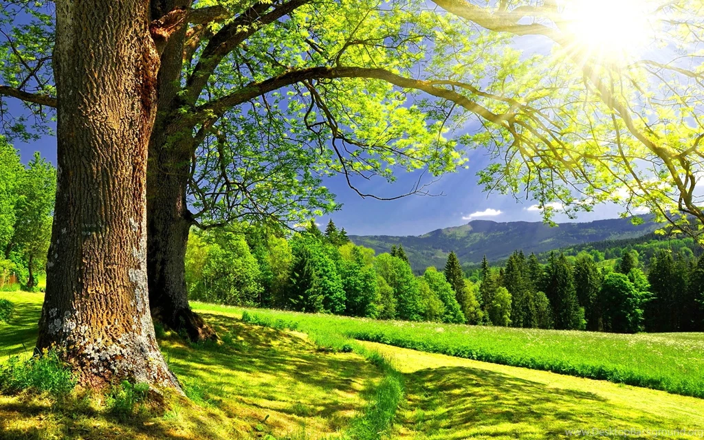 Other Wallpaper: Photography Canon Wallpapers Wide HD Backgrounds ...