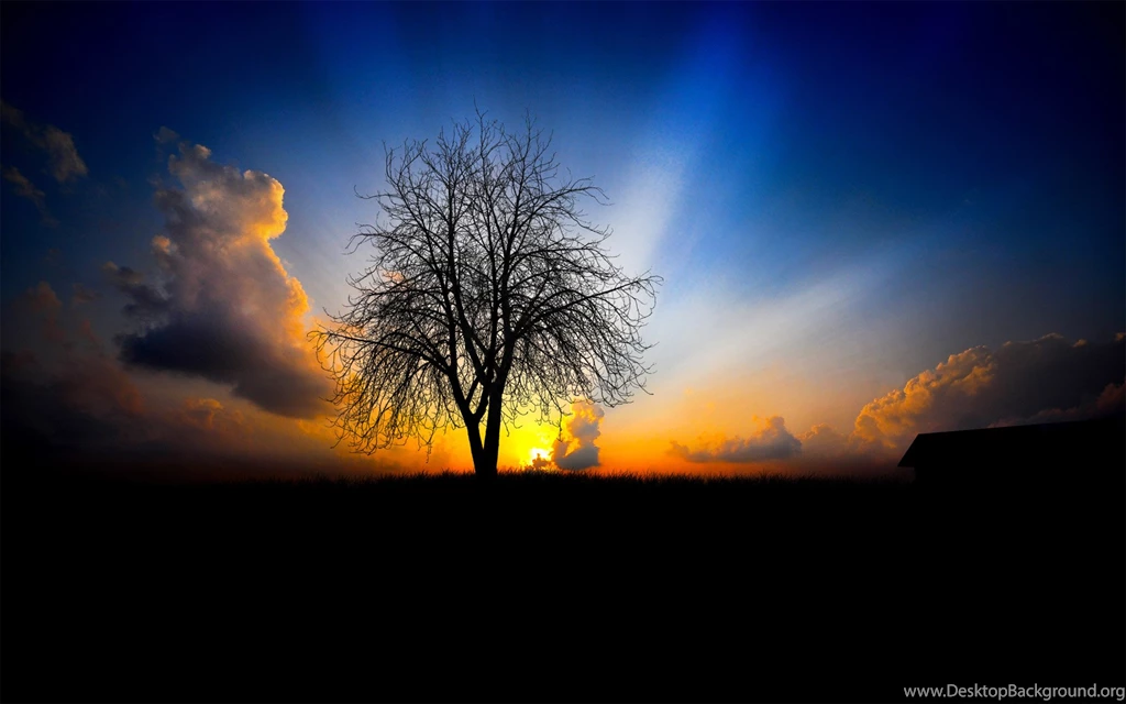 Free Download Natural Scenery Wallpapers Of The Next Morning, The ...