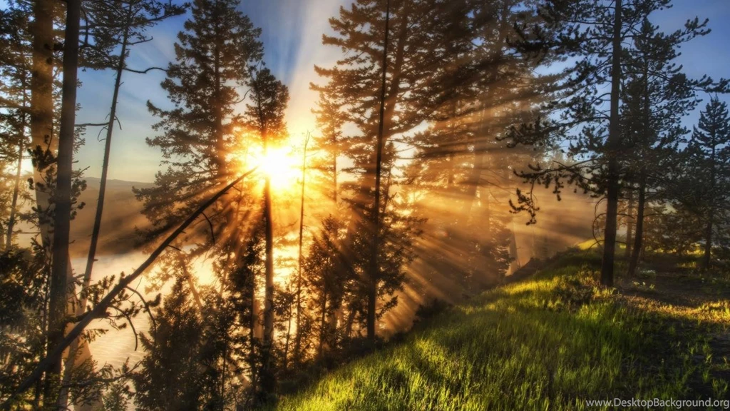 Morning Scenery HD Wallpapers HD Wallpaper Backgrounds Of Your ...