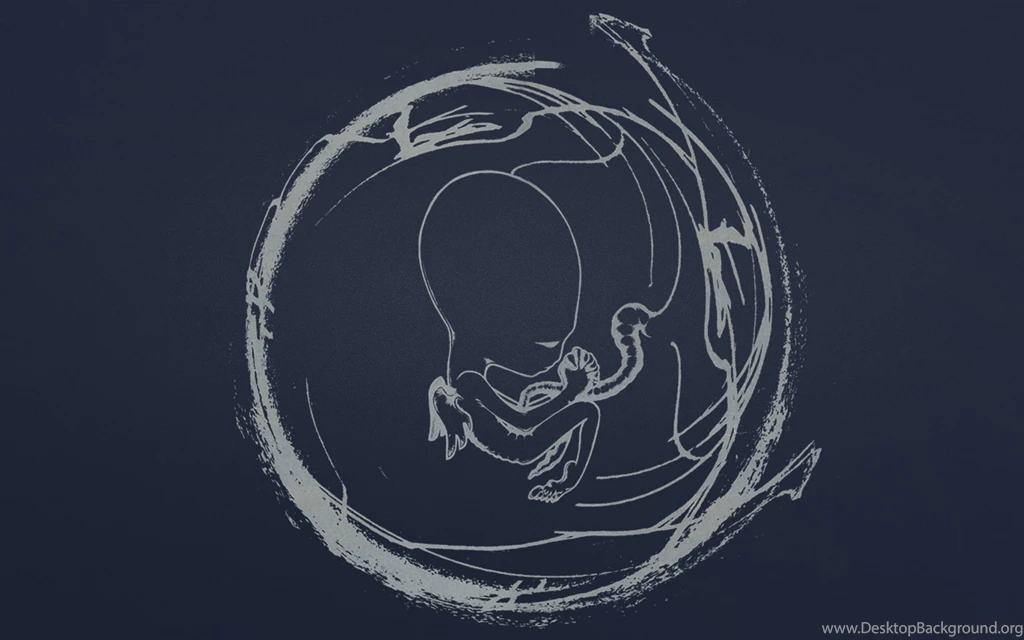 Sigur Rós   Ágætis Byrjun [1920x1200] : Wallpapers