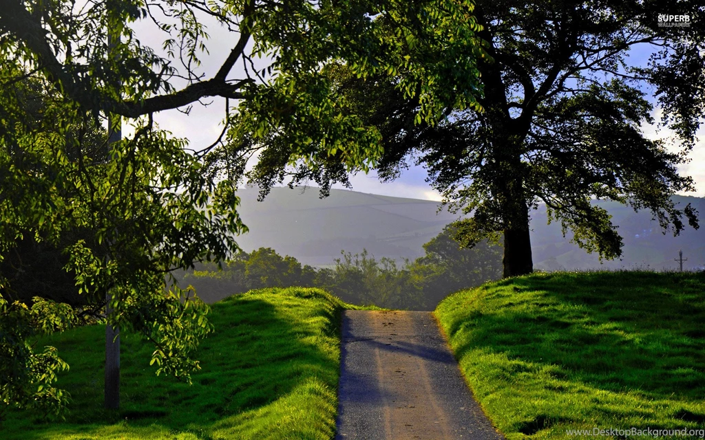 Swing Set On A Foggy Morning Wallpapers