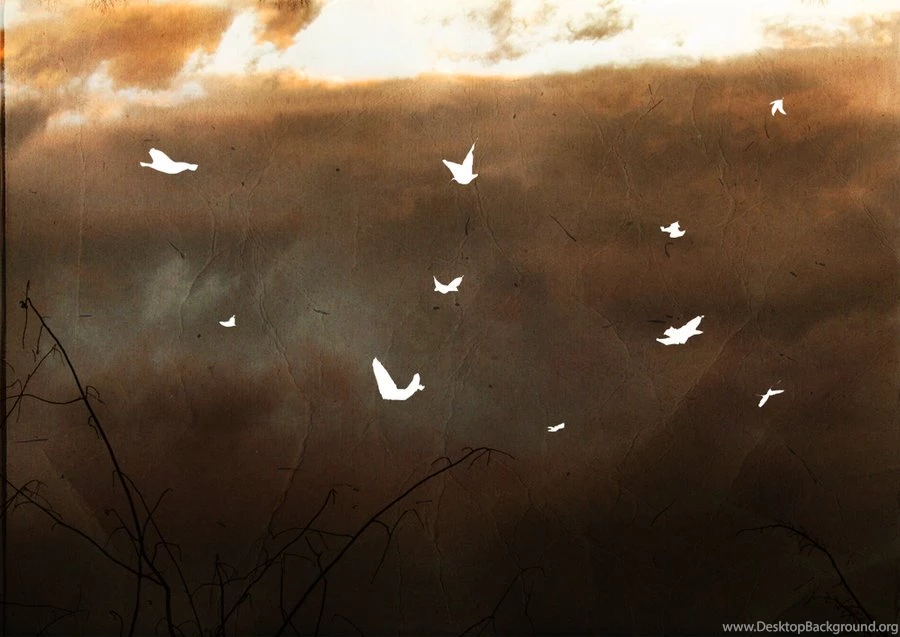 Sigur Ros Wallpapers By Drownsoda On DeviantArt