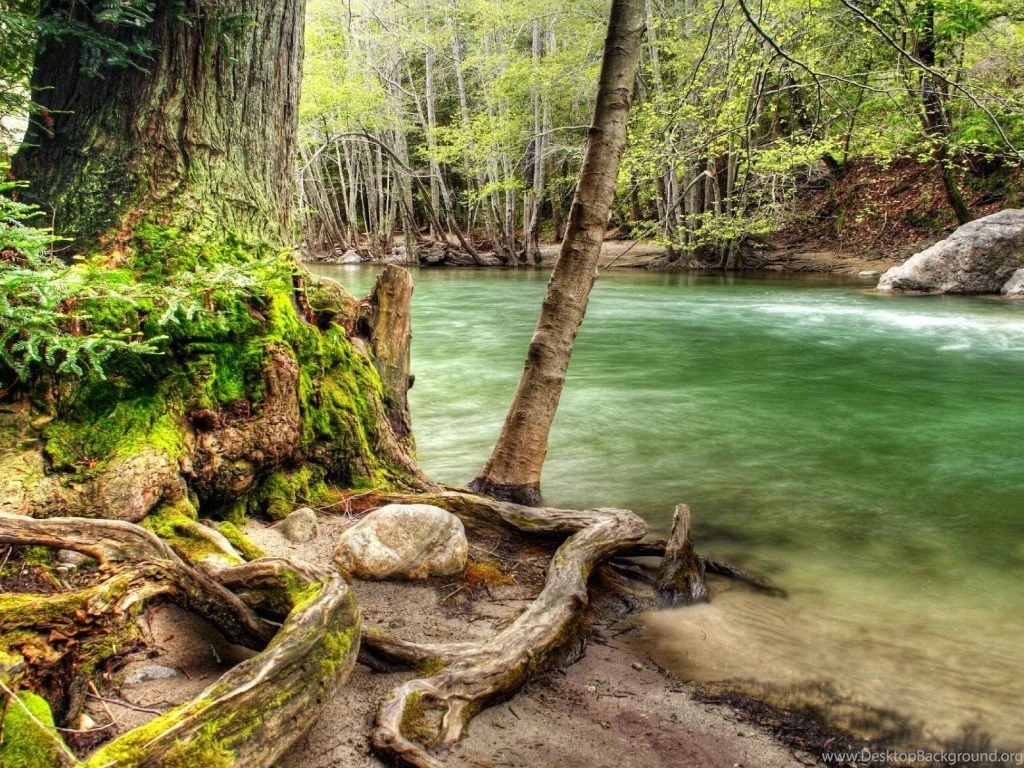 Wallpapers Lovely Morning Scenery Pixels Tagged Forest Rocks ...