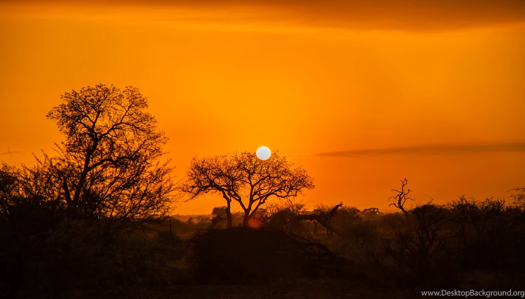 Morning Scenery Wallpapers