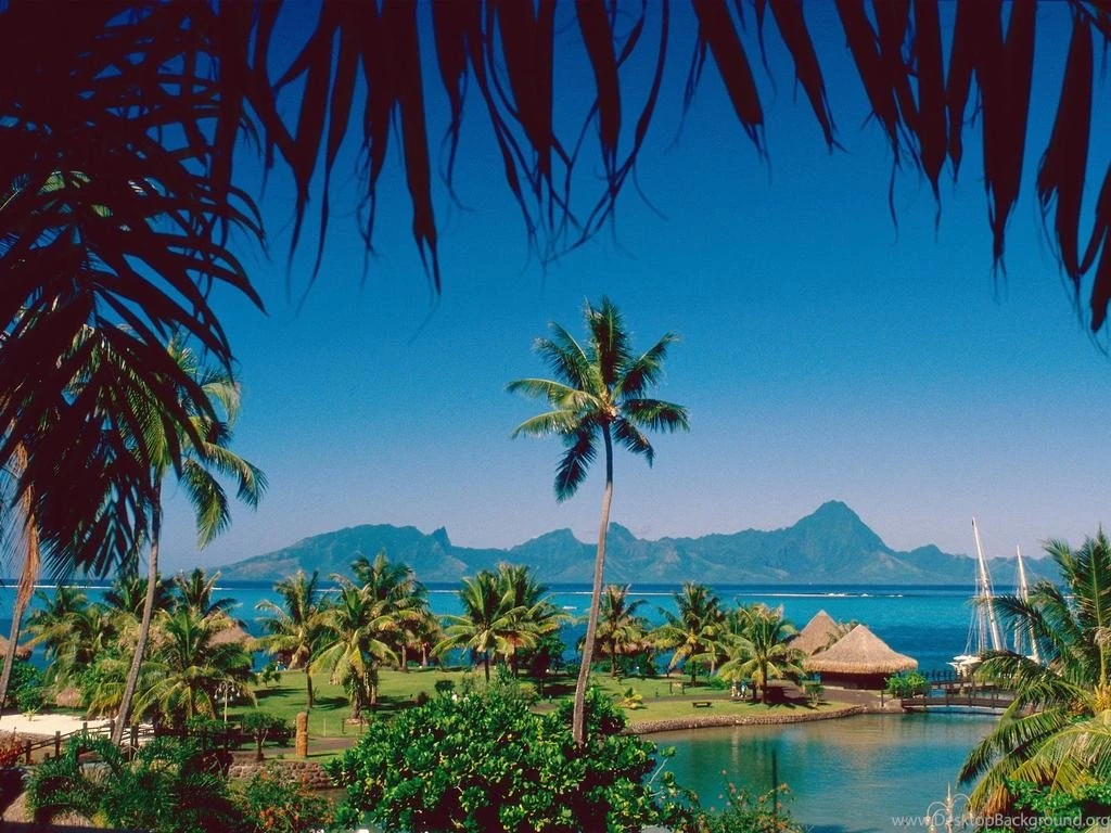 Download 1024x768 Tropical Island Beach Scenery Beautiful Morning ...