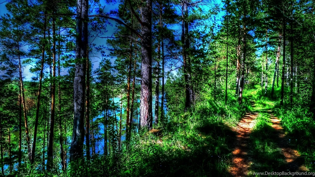 36+ Best HD Trail Wallpapers